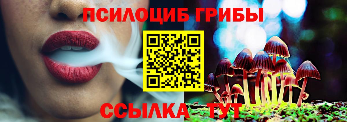 Южно-Сахалинск  Псилоцибиновые грибы прущие грибы  Вход с VPN 